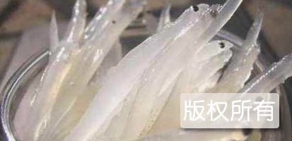 沼山银鱼