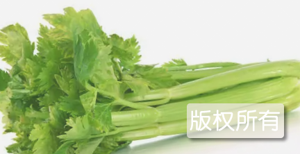 天津实心芹菜