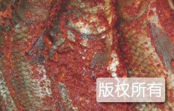 蒸炒香酸鱼
