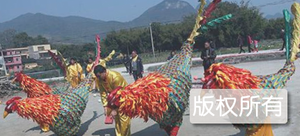阳山凤舞