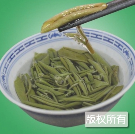 太湖莼菜