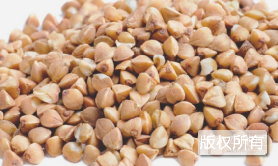 山西荞麦