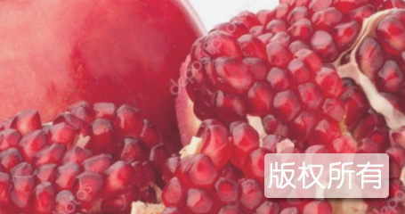 南河渡石榴