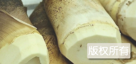 罗村竹笋