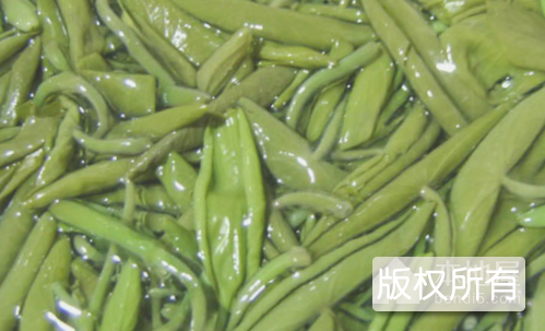天赋莼菜