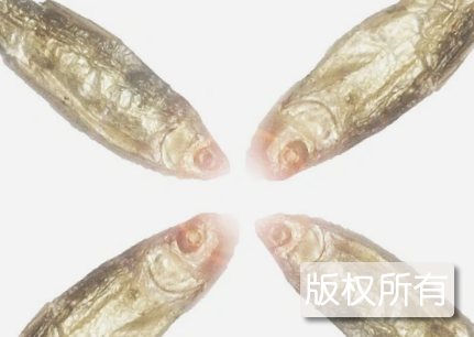 韶山火焙鱼