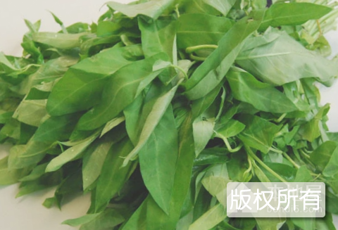 云霄蕹菜