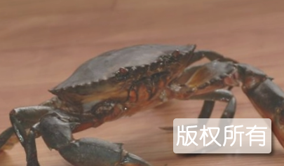 曲口膏蟹