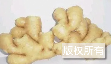 佛手姜