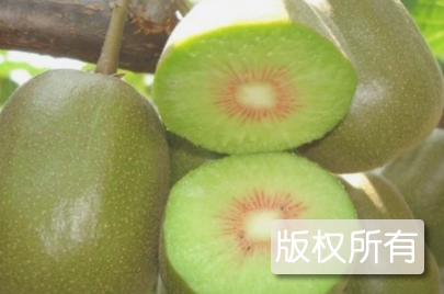 黔江金溪红心猕猴桃