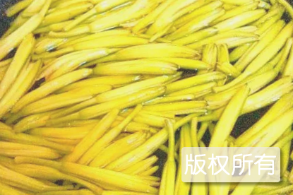 悦来黄花菜