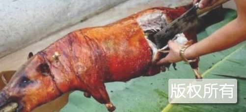 云南景东彝族火烧猪