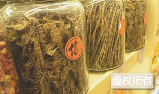 陆丰海马酒酿造技艺