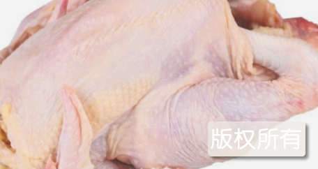 怀乡三黄鸡