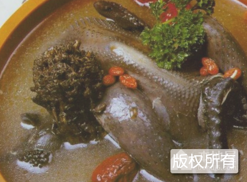 清炖武山鸡
