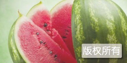 北侯西瓜