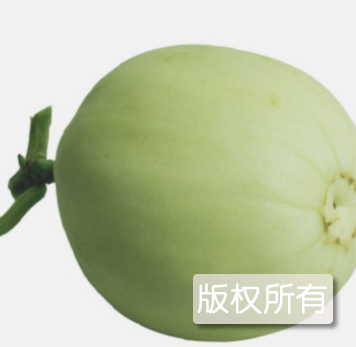 向阳香瓜