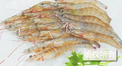 大黄堡虾