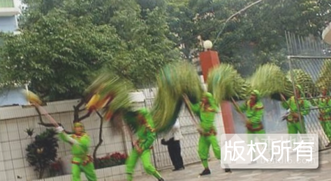 文章湾村簕古龙
