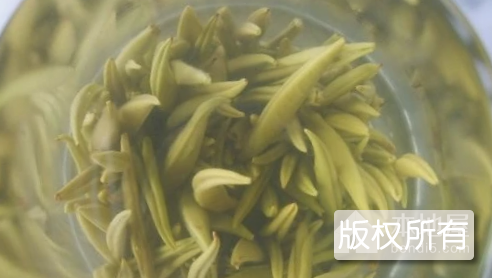 宝华玉笋茶