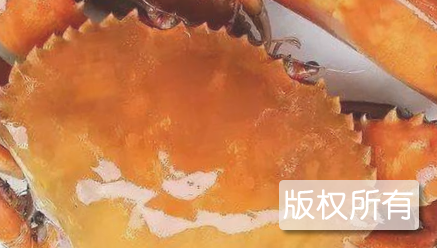 民安灶蟹