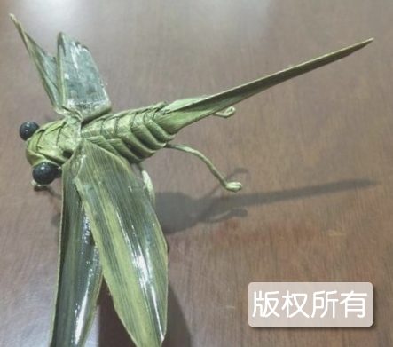 棕榈叶编织