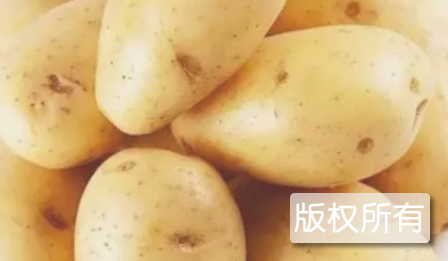 平海马铃薯