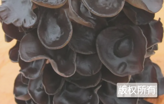 汪清黑木耳