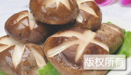 大港香菇