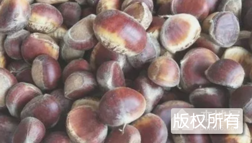 金寨板栗