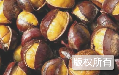 随县板栗