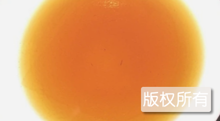 汝南小磨香油