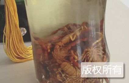 石南春蝎子酒