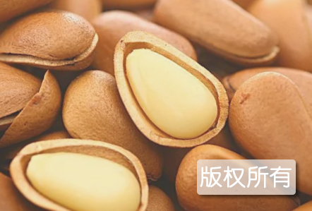 五营红松籽