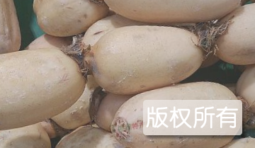 玉湖莲藕