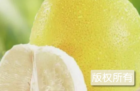 宣恩贡水白柚