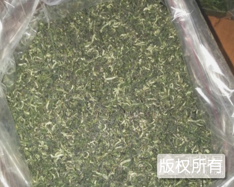 柳溪玉叶