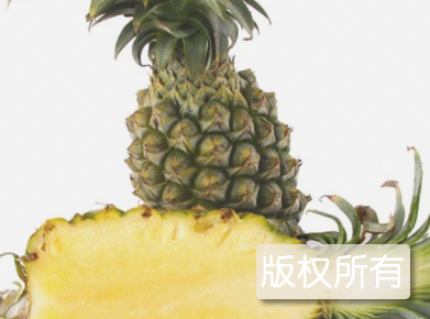 屏东凤梨