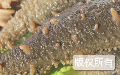 花刺参