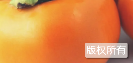 北梭甜柿