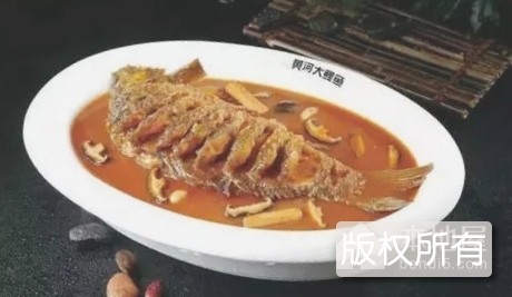 郑州黄河鲤鱼