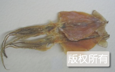 螟晡鲞