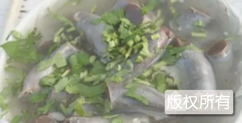 德州羊肠子