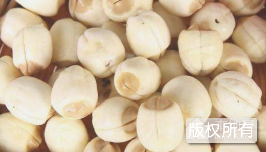 处州白莲