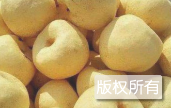 虞城酥梨