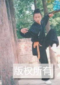 八仙拳