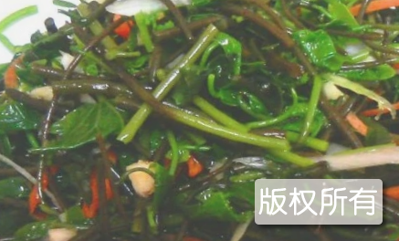 舞钢山野菜