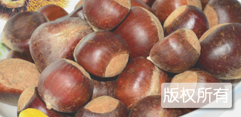 信阳板栗