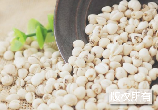 松潘贝母