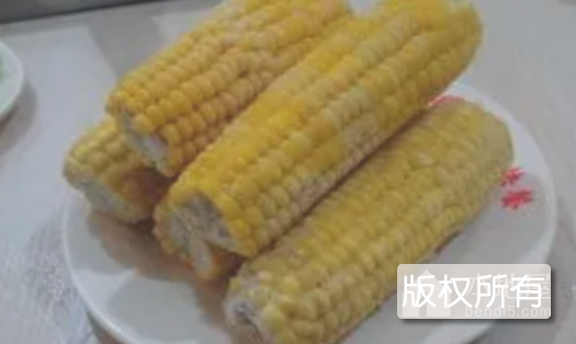 乌盟玉米